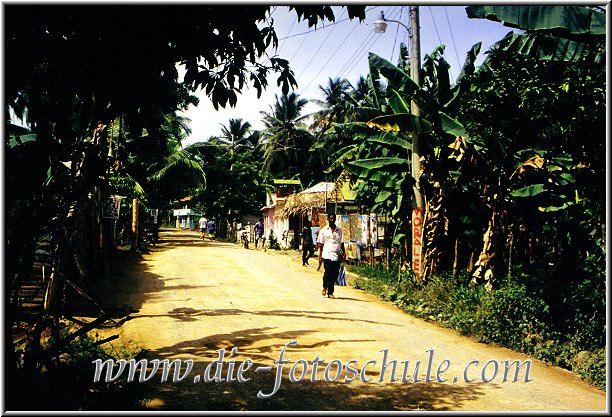 Die Hauptstrasse Las Terrenas