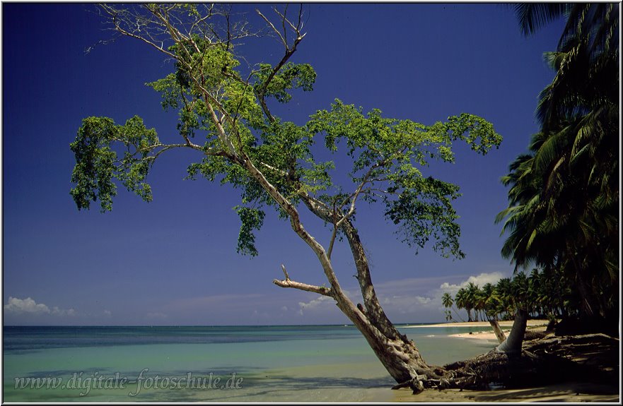 Playa Bonita