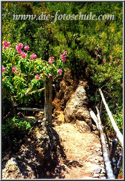 Treppe in der Caldera