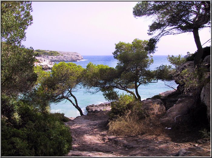 Cala_Turqueta_05.jpg - Cala en TurquetaDie Cala en Turqueta muß man erstmal finden. Die Anfahrt führt über Ciutadella, erst über kleine Sträßchen und nachher folgen kaputte Rumpelpisten. Ein erstauntes Grinsen entlockten mir elektronische Park-Leit-Schilder mitten in der Pampas, die die Parksituation am Geheimtipp-Strand anzeigen. Immerhin ist das Parken kostenfrei. 