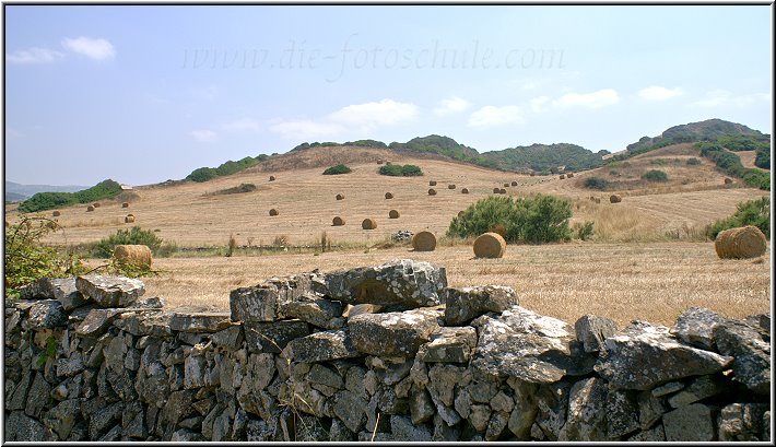 Cavalleria_17.jpg - Cap de Cavalleria