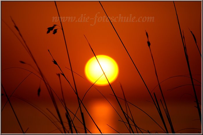 Cavalleria_41.jpg - Sonnenuntergang bei Cap de Cavalleria