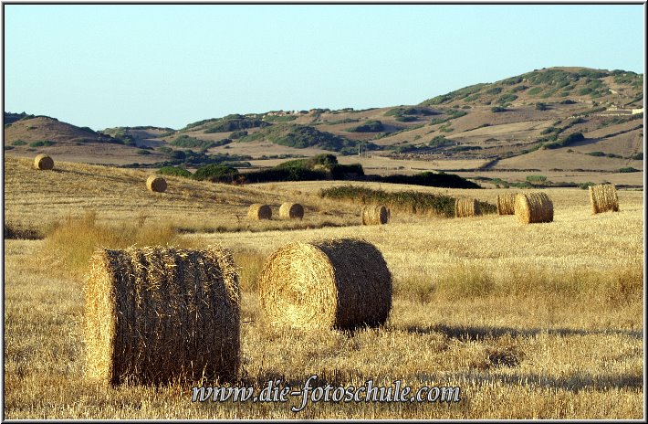 Fornells_39.jpg - Die typische Landschaft Menorcas