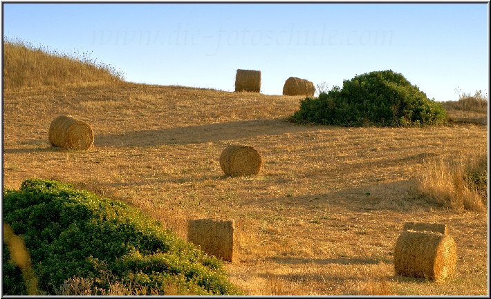 Fornells_40.jpg - Die typische Landschaft Menorcas