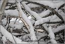 Winter_2010_DSC07119_kl